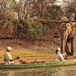 Expeditions Safari - Zambezi River